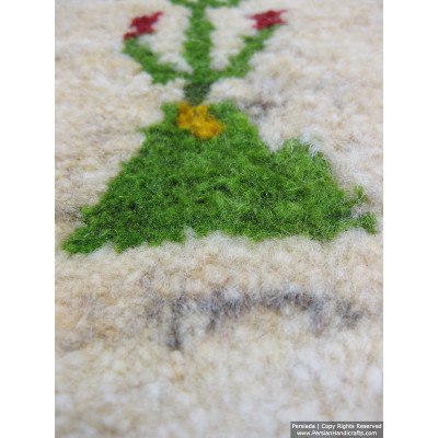 Gabbeh Wool Rug from Persian Ghashghai Nomads - RG5002 Gabbeh Wool Rug from Persian Ghashghai Nomads - RG5002