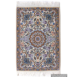 Medallion Design Wool & Cotton Naein Persian Rug  -  RN5004-Persian Handicrafts