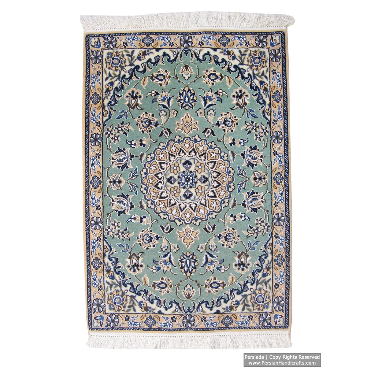 Medallion Design Wool & Cotton Naein Persian Rug  -  RN5005-Persian Handicrafts