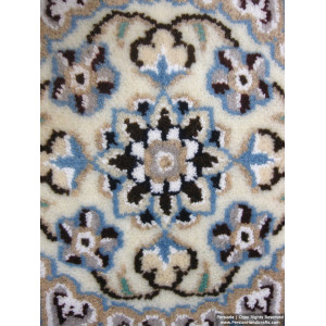 Medallion Design Wool & Cotton Naein Persian Rug  -  RN5006-Persian Handicrafts