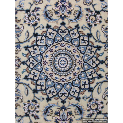 Medallion Design Wool & Cotton Naein Persian Rug  -  RN5007
