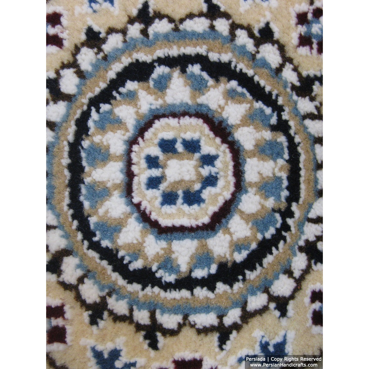 Medallion Design Wool & Cotton Naein Persian Rug  -  RN5007-Persian Handicrafts