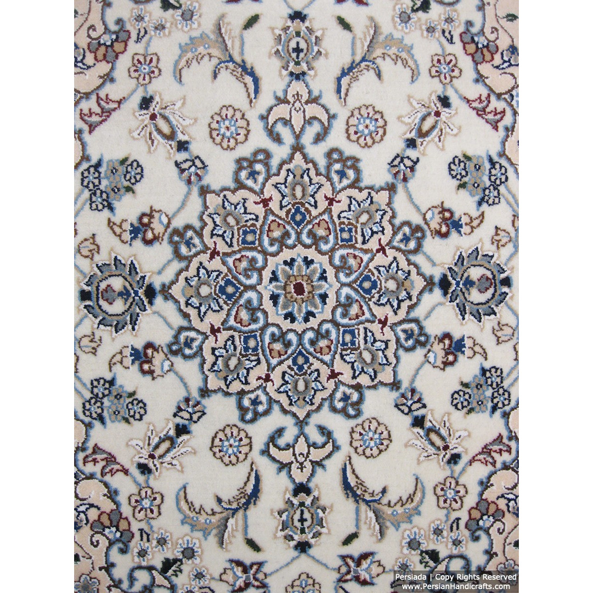 Medallion Design Wool & Cotton Naein Persian Rug  -  RN5008-Persian Handicrafts