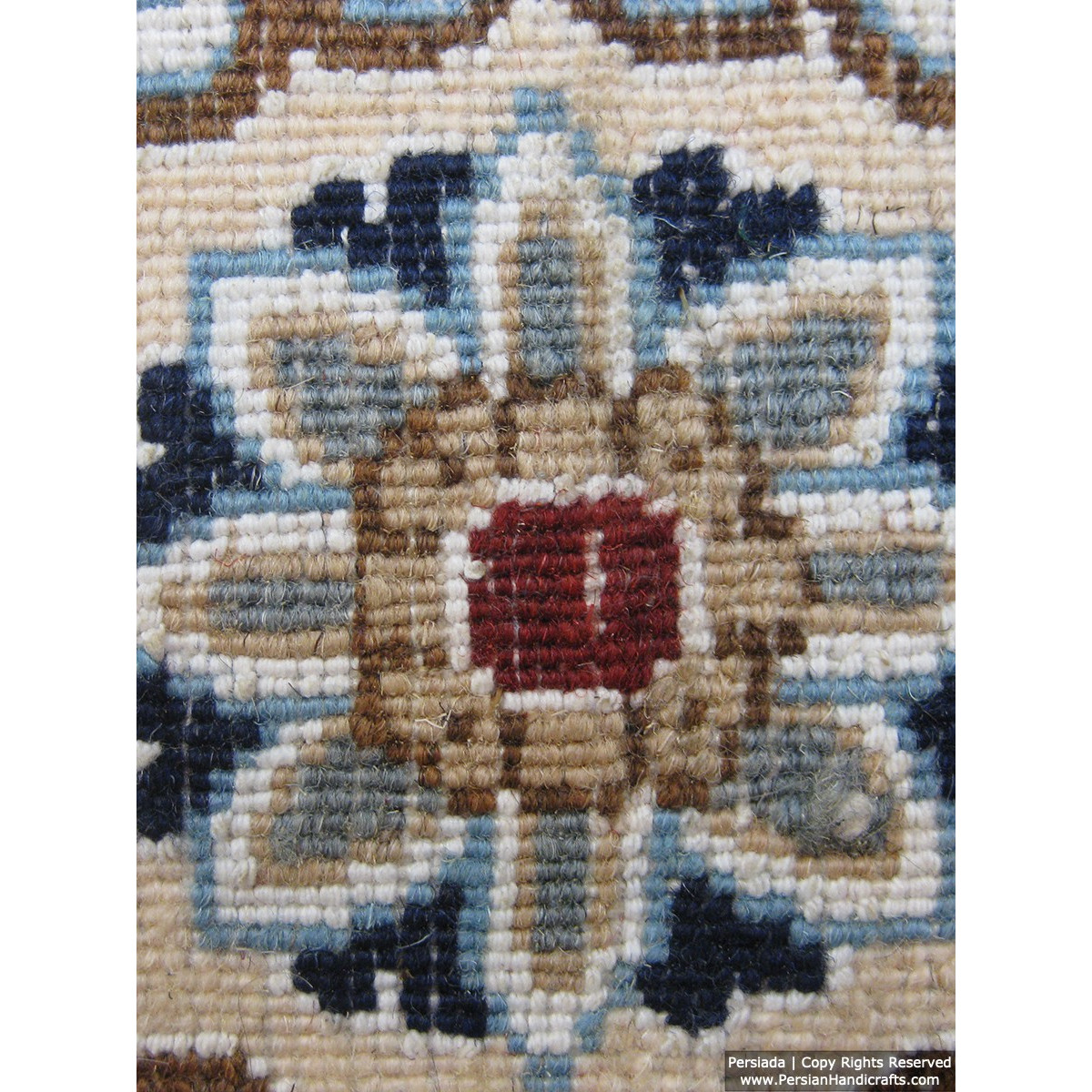 Medallion Design Wool & Cotton Naein Persian Rug  -  RN5008-Persian Handicrafts