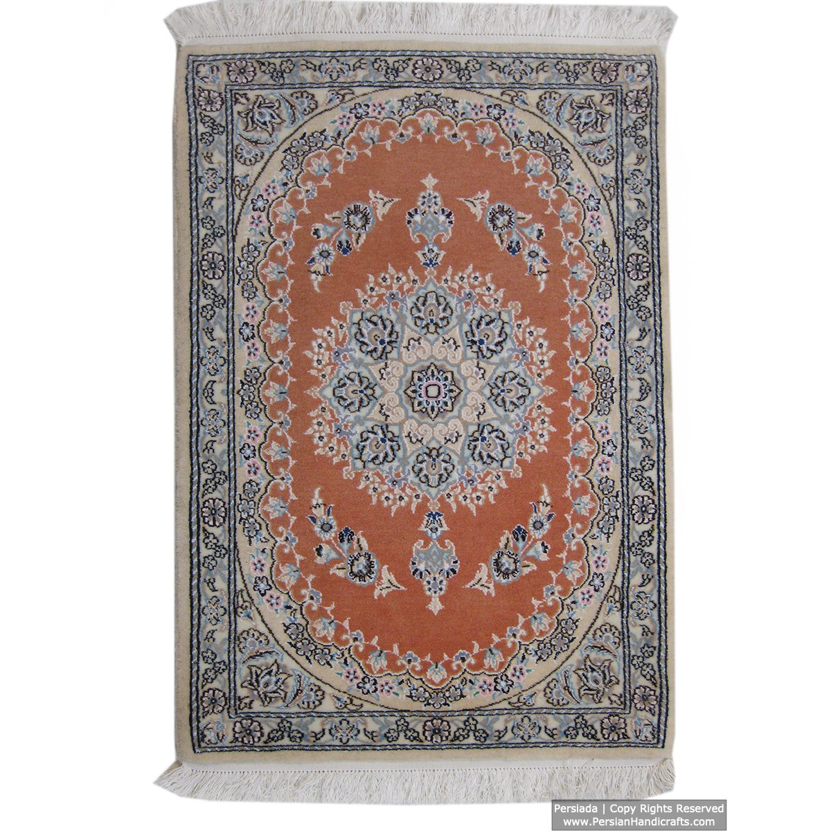 Medallion Design Wool & Cotton Naein Persian Rug  -  RN5009-Persian Handicrafts
