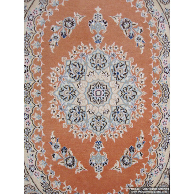 Medallion Design Wool & Cotton Naein Persian Rug  -  RN5009