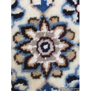 Medallion Design Wool & Cotton Naein Persian Rug  -  RN5011-Persian Handicrafts
