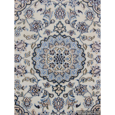 Medallion Design Wool & Cotton Naein Persian Rug  -  RN5013
