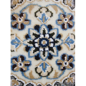 Medallion Design Wool & Cotton Naein Persian Rug  -  RN5013-Persian Handicrafts