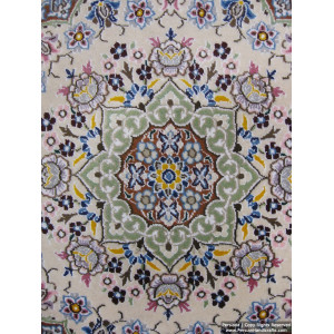 Medallion Design Wool & Cotton Naein Persian Rug  -  RN5014-Persian Handicrafts